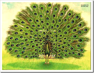 Miniature Sheet With Stamp On Peacock From Thailand Miniature Sheet With Stamp On Peacock From Thailand